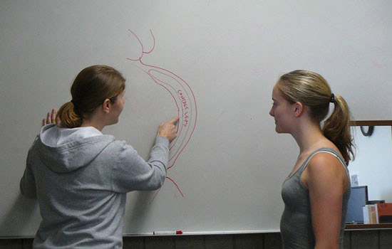 People working on white board