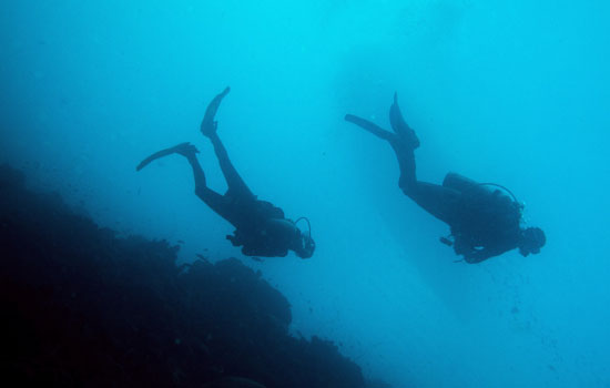 Picture of Scuba Divers underwater