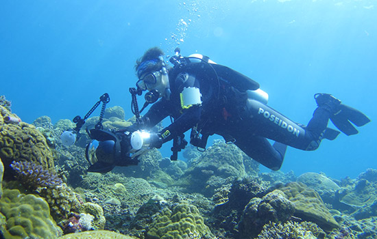 person underwater capturing pictures in coral reefs.