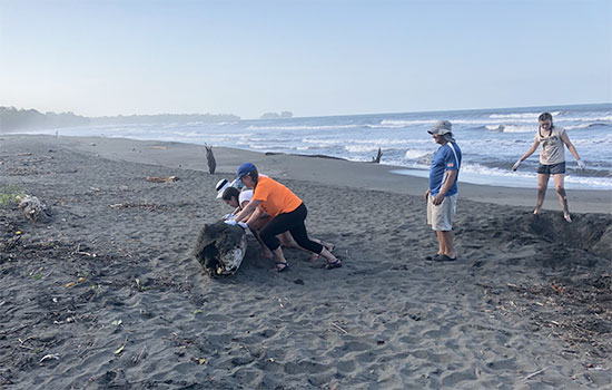 people pushing debris off of a beach.