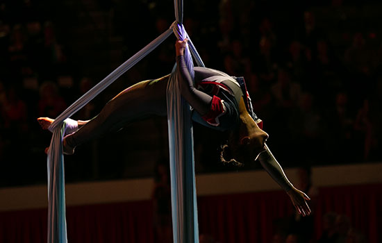 Local aerialist and RIT alumni Jennifer Dovidio performing on aerial silks.